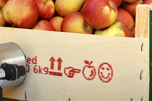 Brand Coding on a Wooden Case